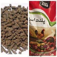 تولید انبوه کود مرغی