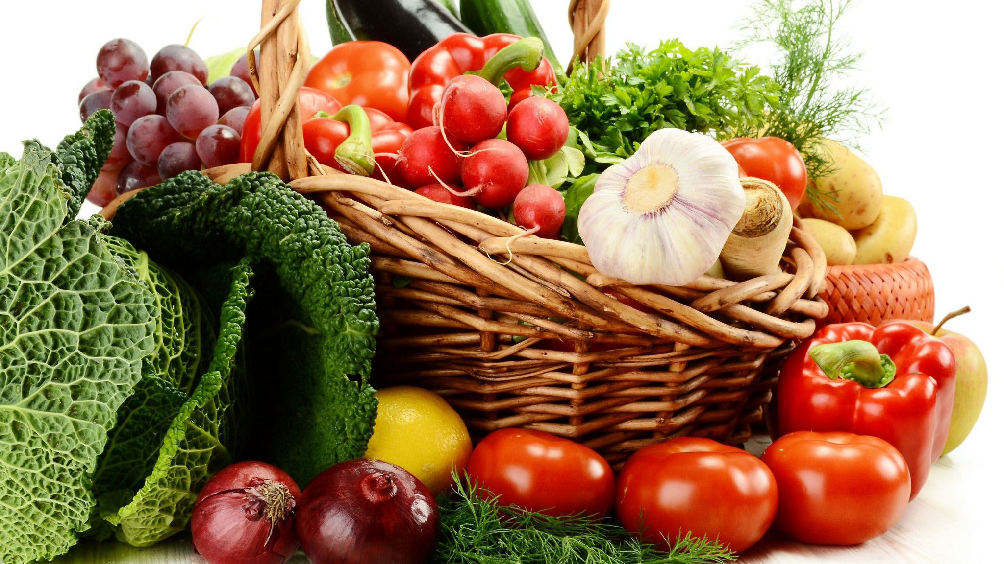 فروشگاه کود اسید هیومیک