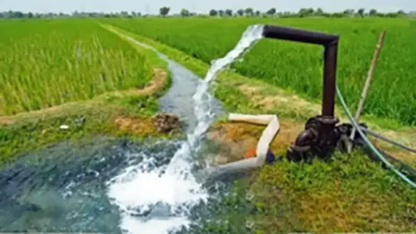 کود اسید هیومیک مایع 5 لیتری ایرانی