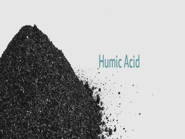 اهمیت استفاده از کود اسید هیومیک