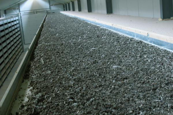 خریدار کود مرغی پلیت ارزان قیمت