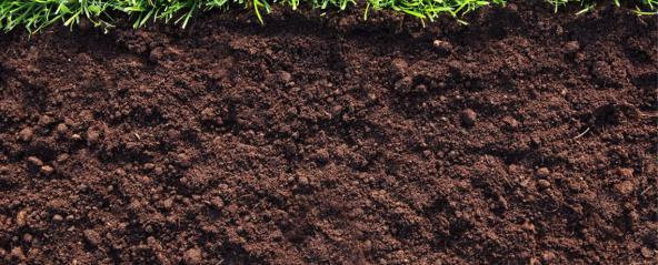 لیست قیمت انواع کود هیومیک اسید اصل