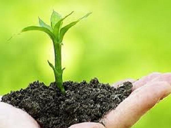 لیست قیمت کود آهن سولفاته خارجی