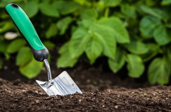 لیست قیمت کود آهن ایرانی و خارجی