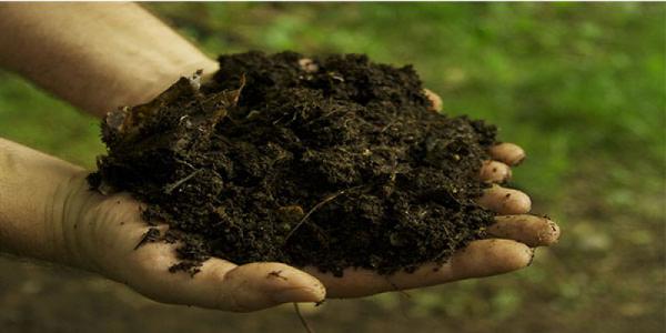 خریداران کود هیومیک اسید در ایران