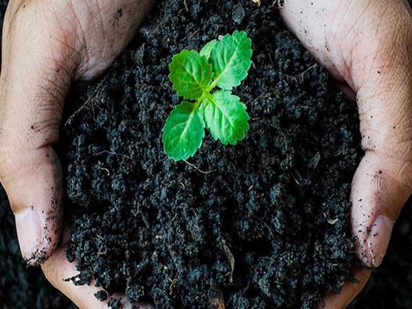 لیست قیمت کود هیومیک ایرانی و خارجی