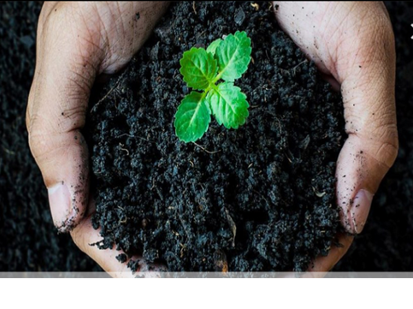 توزیع کود هیومیک به صورت عمده در ایران