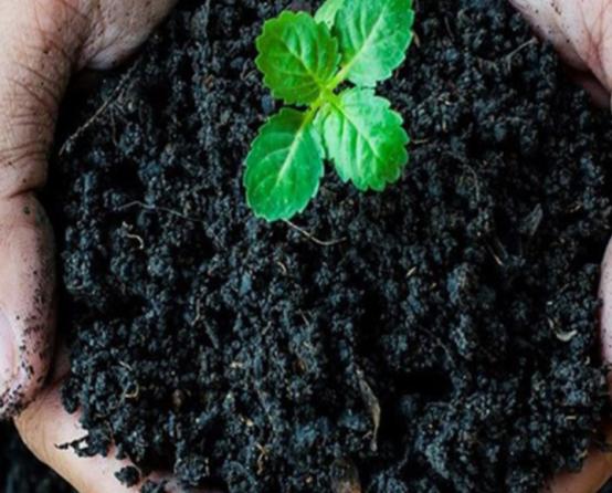 خط تولید انواع کود هیومیک 