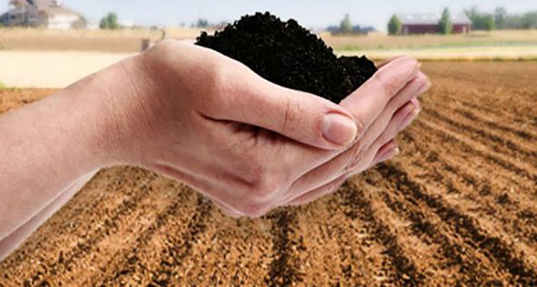 توزیع عمده اسید هیومیک پودری 