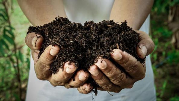 بازار کود هیومیک اسید آمریکایی