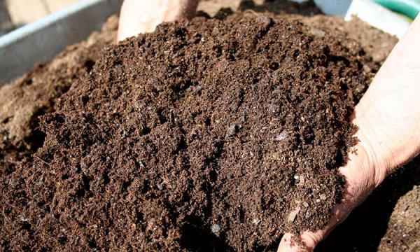 فروشنده کود آهن کلاته دست اول