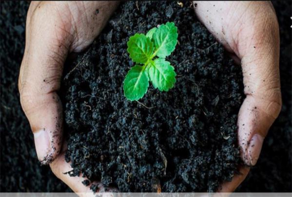 نحوه تولید کود هیومیک پودری