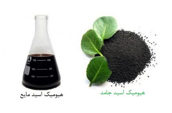 تفاوت قیمت کود هیومیک پودری و مایع