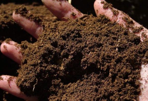 واردات کود اسید هیومیک مایع خارجی