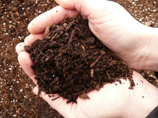 لیست قیمت انواع کود آهن 