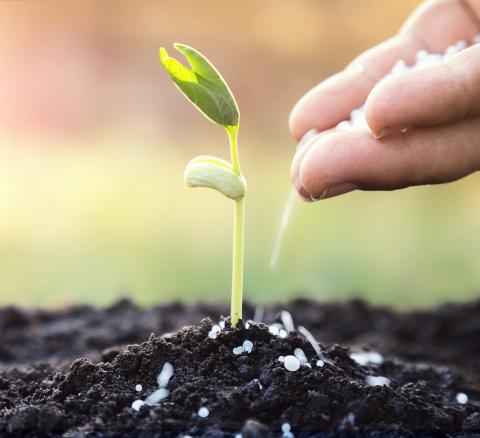 عرضه کود آهن کلات غنی شده باروی و پتاس