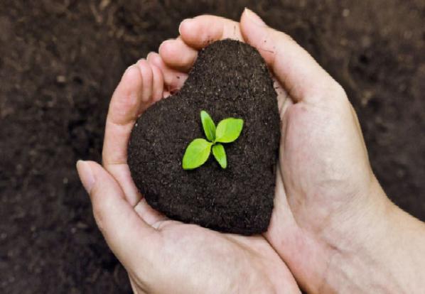 نحوه ساخت کود هیومیک اسید